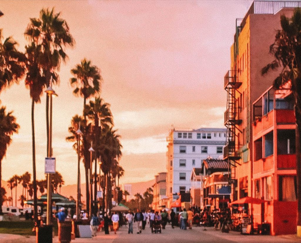Venice Beach Los Angeles Pineappleislands